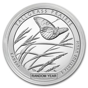 5 oz America The Beautiful Silver Coin (Design Varies)